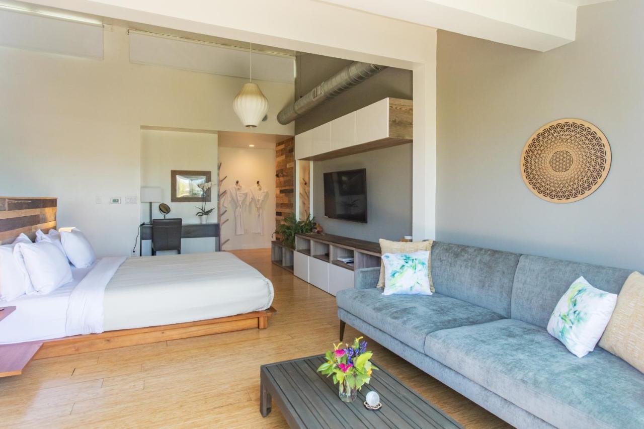 Inn At Moonlight Beach Енсинитас Екстериор снимка