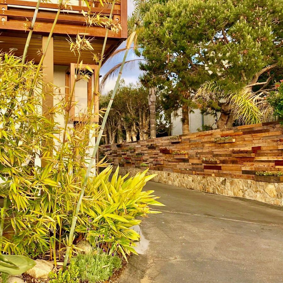 Inn At Moonlight Beach Енсинитас Екстериор снимка