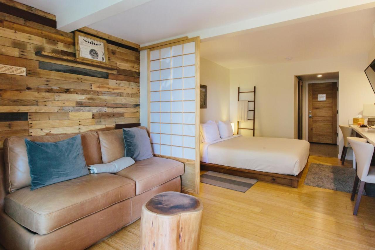 Inn At Moonlight Beach Енсинитас Екстериор снимка